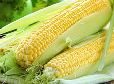 產(chǎn)品特點(diǎn)